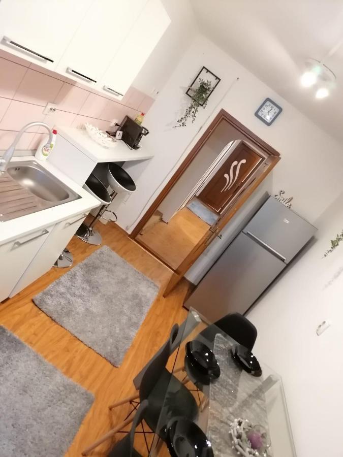 Masaryss Apartament Tulcea Lägenhet Exteriör bild